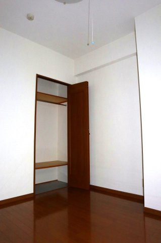 コスモグランディ通町の収納|洋室5.2帖のクローゼット