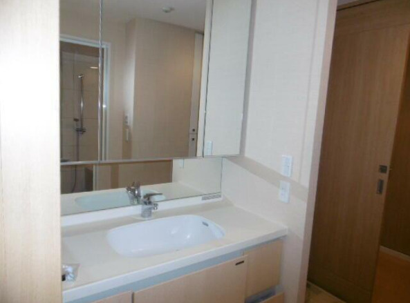 フェーズ・コート175　常時ゴミ出し可　宅配BOX　振分の洗面所