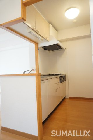 熊本市中央区船場町下１丁目の賃貸マンションのキッチン