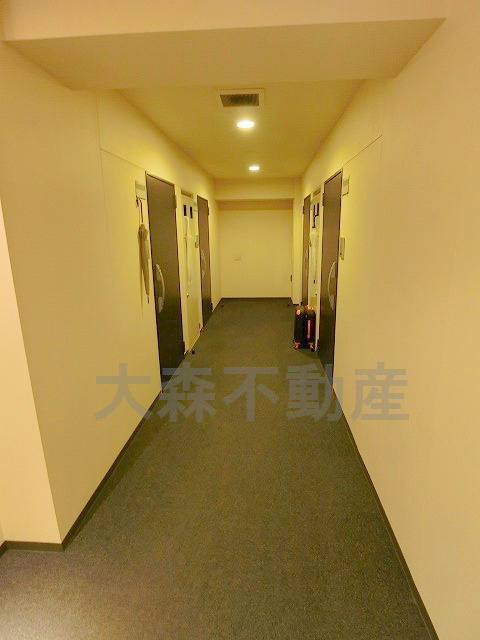 メインステージ大森北のその他共用部分|北向きと南向きがありカーペット貼りの内廊下です！