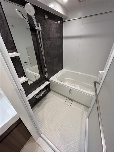 Ｓ－ＲＥＳＩＤＥＮＣＥ両国ｓｅｒｅａの浴室