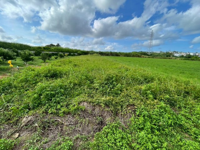 【売地】八重瀬町新城　１５３坪の外観