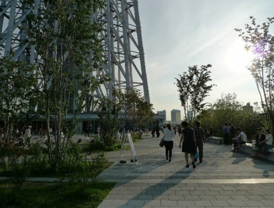 【周辺】 | リヴシティ錦糸町弐番館