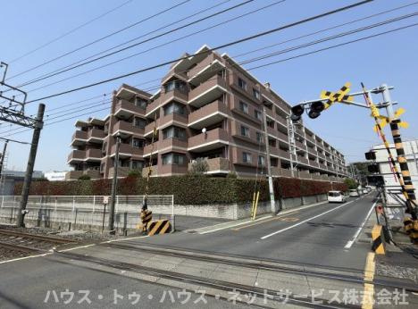 アンビシャス柏