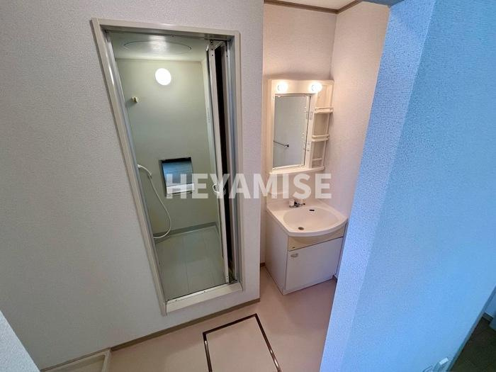 ロイヤルガーデン永田 B棟の洗面所