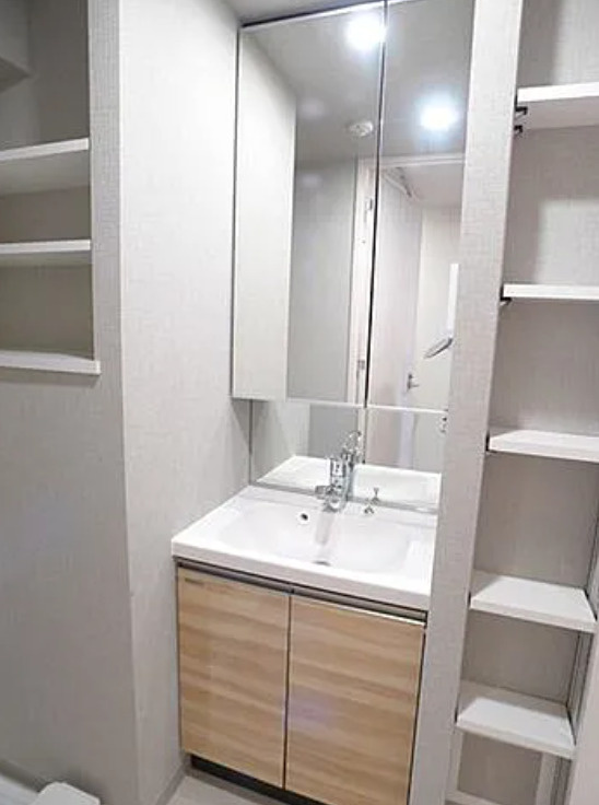 プラージュ　リュー　押上の洗面所