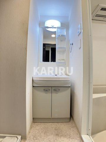 フォレストガーデン蒲生Ⅲの洗面所