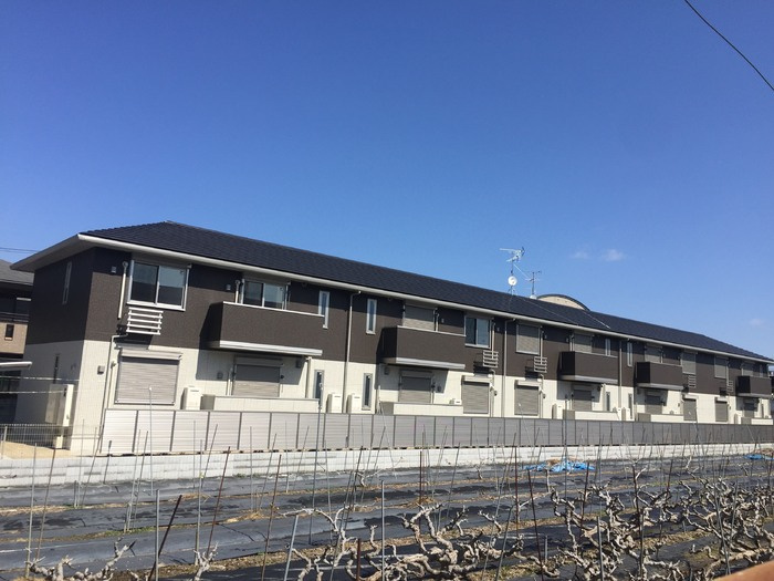 コンフォールドミ