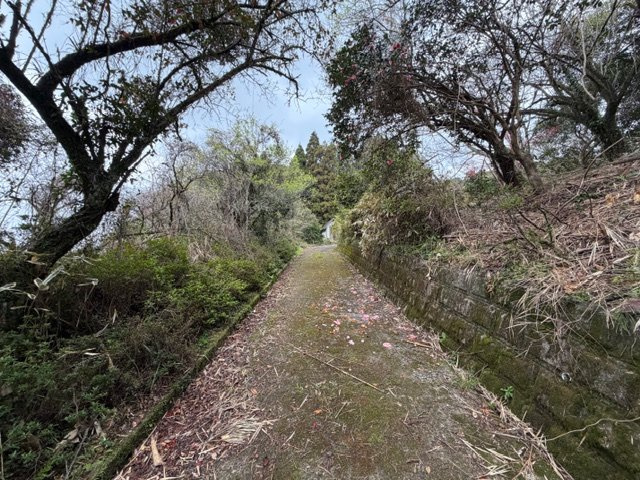 detached 安久町