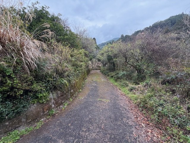 detached 安久町