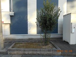 レオネクストプルーニャのその他
