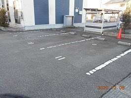 レオネクストプルーニャのその他