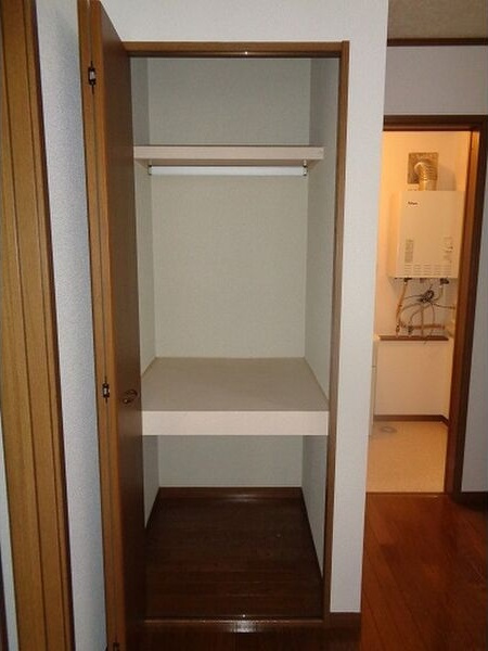 ステラAのその他