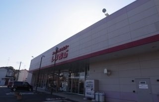 グレースヒルズの周辺|しまむら豊四季店まで750m