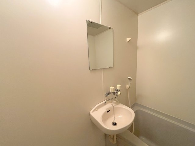 レーズライン下新庄の洗面所