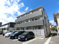 Ray　North　Eastの画像