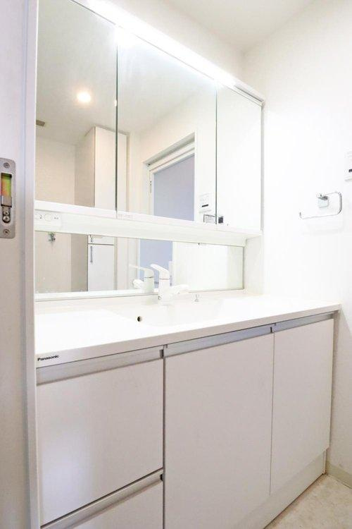 アルファステイツ田寺の洗面所|洗面化粧台
