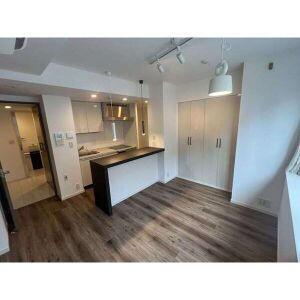 パークリュクス西麻布の居間・リビング