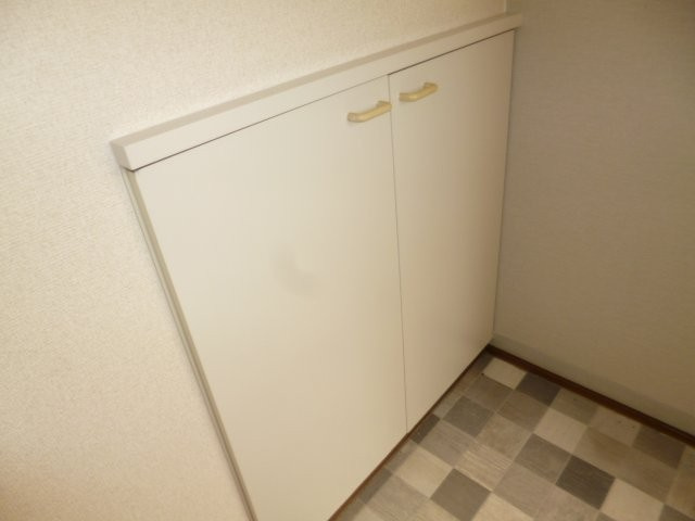 リージェント中庄Ⅱの内装|シューズボックス