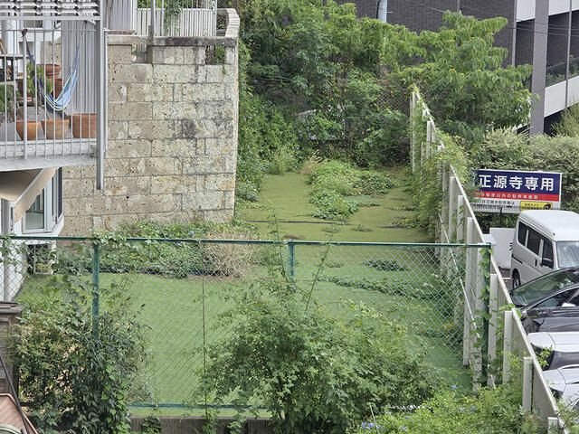 高輪ホームズの庭