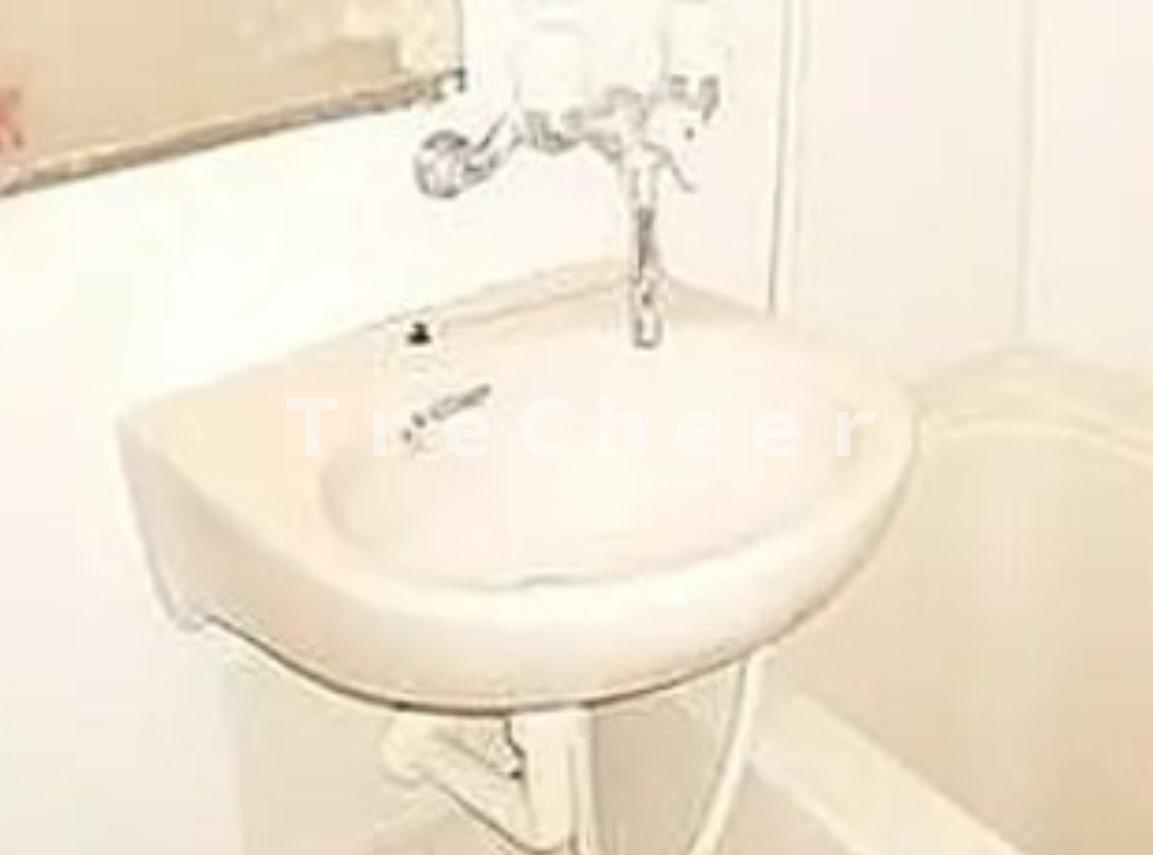 ガナドール福新の洗面所