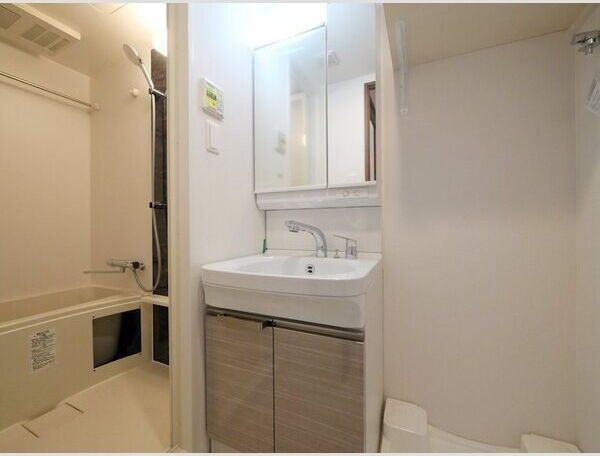 エスリード難波AGREAの洗面所