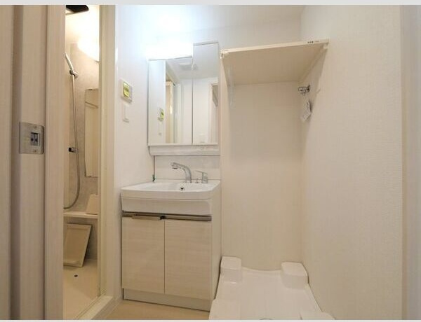 エスリード難波AGREAの洗面所