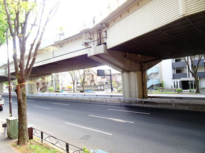 【展望】 | メインステージ桜上水