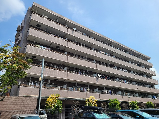 エバーグリーンコート