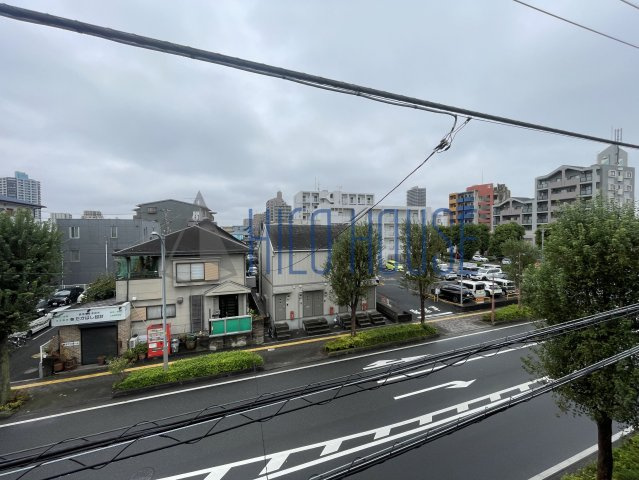 ピュアロータスの展望