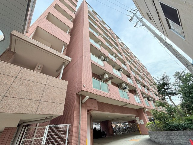 エクセレント上新12