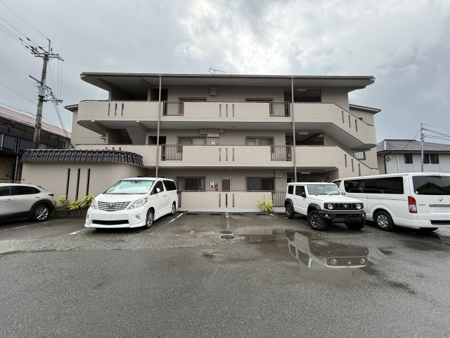 エレガンスセガワ