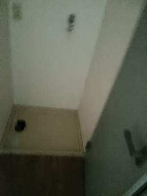 【その他】 | ワイズベルドミール