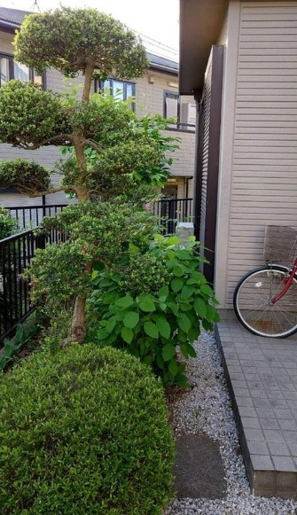 【中古】鶴ヶ島市上広谷中古住宅の庭|植栽もきれいです