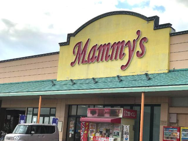 【周辺】 | Ｌａ　ｆｒｏｎｔｅｒａ | マミーズ柳川店まで953ｍ