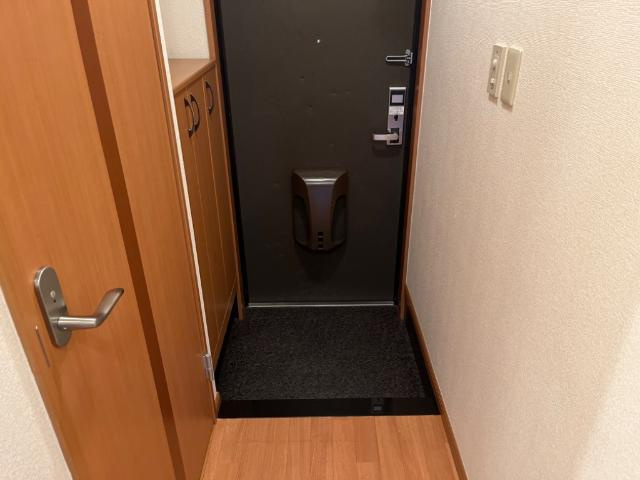 Ｓｏｎｎｅｔｔｅ Ⅱの玄関|玄関