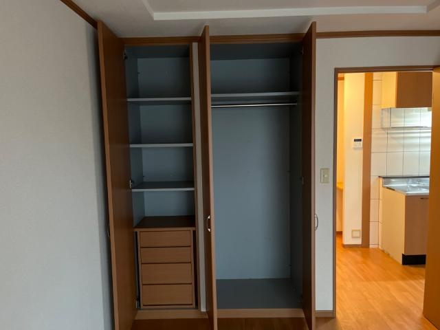 Ｓｏｎｎｅｔｔｅ Ⅱの収納|南洋室収納