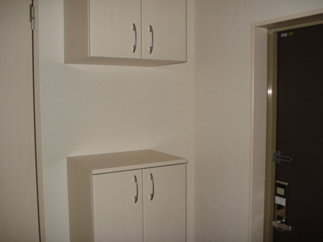 サイネリア丸美のその他|シューズボックス