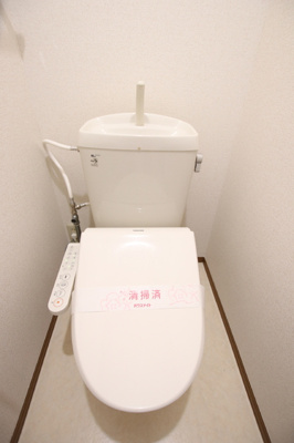 温水洗浄便座付き（清掃前）