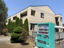 サンチェリーフィールドの画像