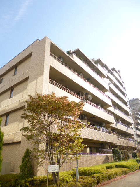 クリオレジダンス東京