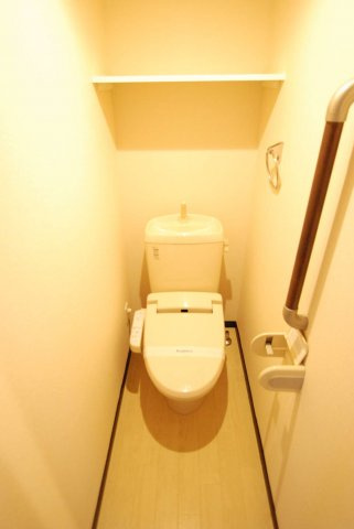 レオネクストシャインのその他