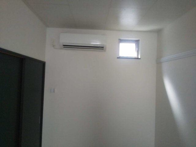 レオネクストプルートスのその他