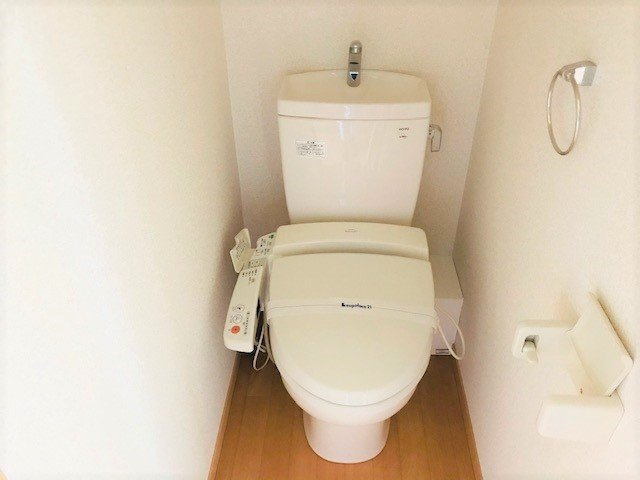 レオネクストプルートスのその他