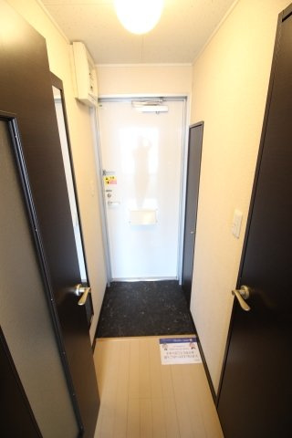 レオネクストドリーム金子の玄関|同タイプ写真の為、現況優先致します。