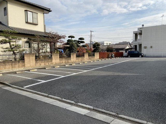 レオネクストドリーム金子のその他