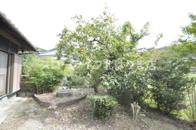 【庭】 | 西脇市黒田庄町前坂