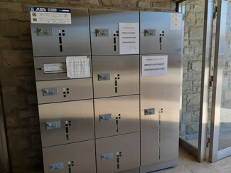 【その他】 | プリムローズ