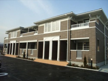 ストリート秋桜の画像