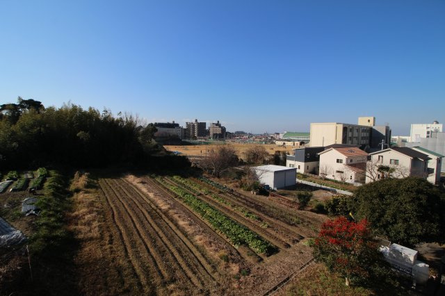 パルティーダC棟の展望